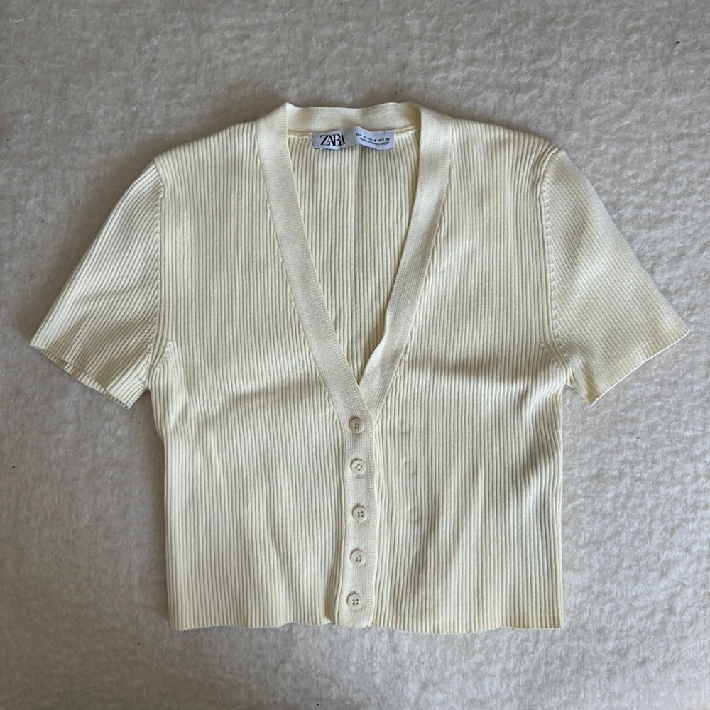 Zara Crop Top - image 1